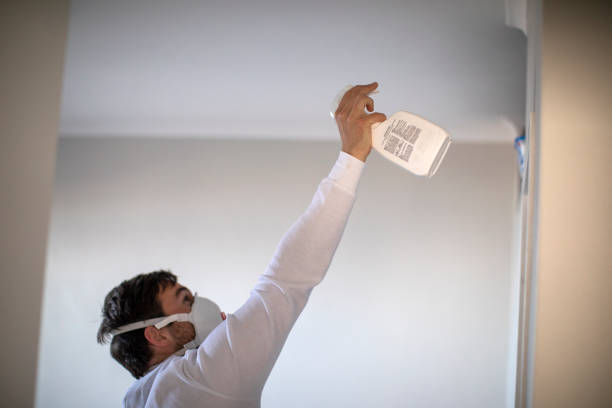 Best Residential Mold Remediation in St Anthony, MN