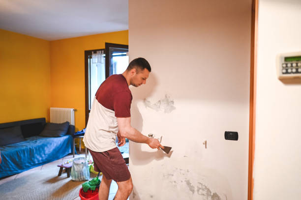 Best Insurance-Related Mold Remediation in St Anthony, MN